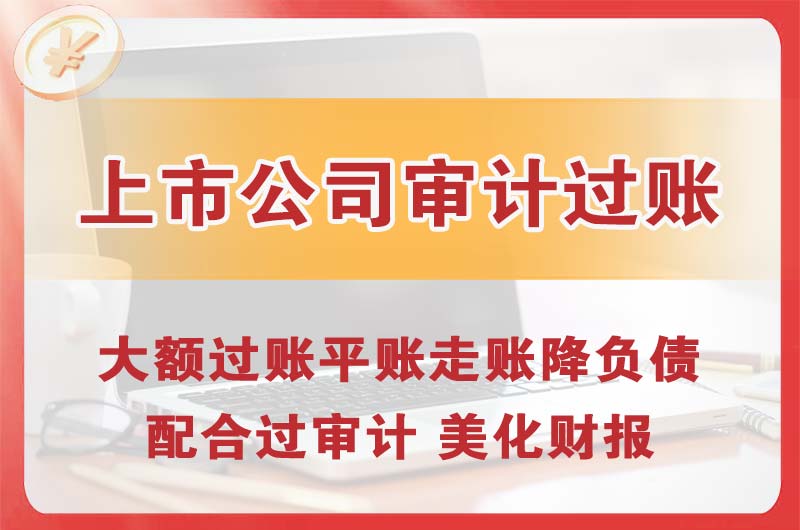 醴陵上市公司审计过账
